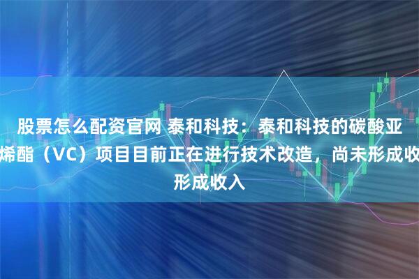 股票怎么配资官网 泰和科技:泰和科技的碳酸亚乙烯酯(VC)项目目前正在进行技术改造,尚未形成收入